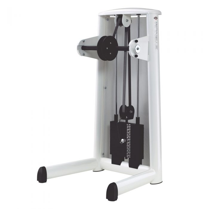 Gym 80 Lowerarm Mašina