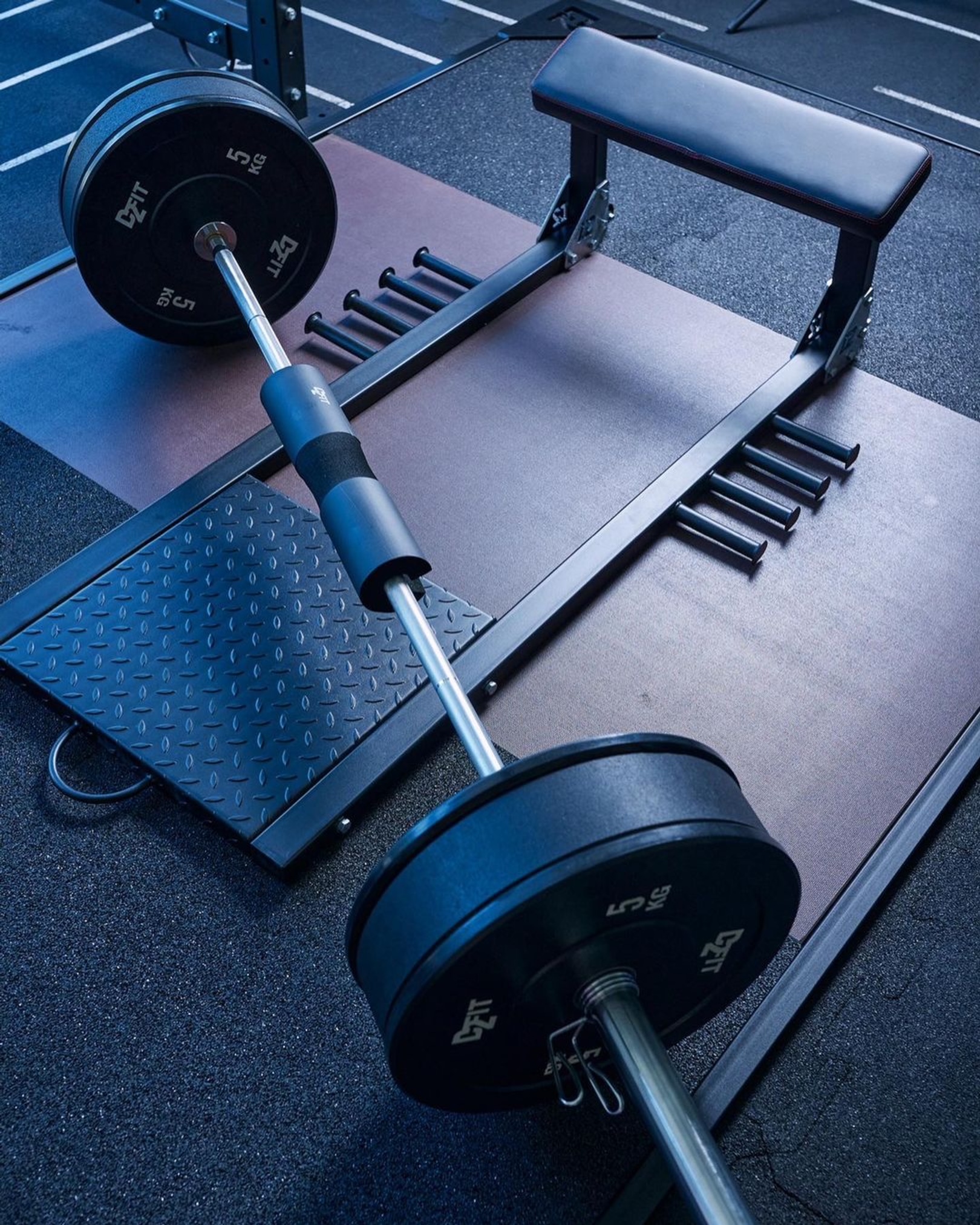 D2Fit Hip Thruster